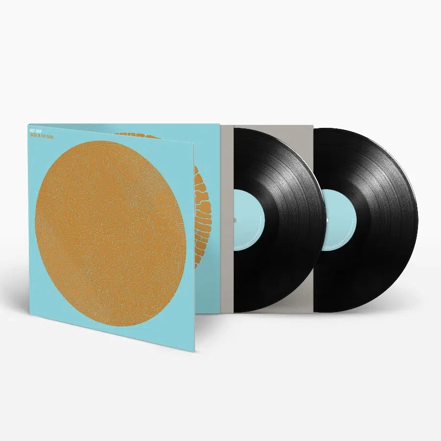 MADE IN THE DARK (2LP)/HOT CHIP/ホット・チップ/英国代表エレクトロ