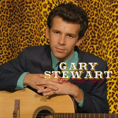 Stewart／スチュワート／BillStewart／JAPANモデル／7'3