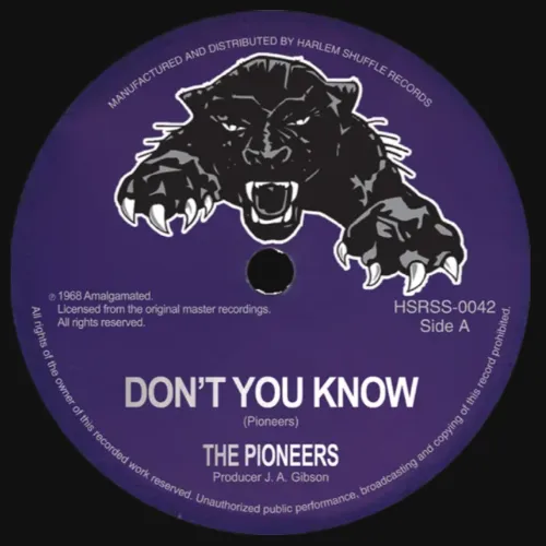 PIONEERS / ザ・パイオニアーズ商品一覧｜ディスクユニオン
