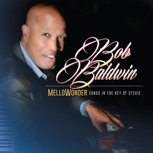 2LP Songs in the Key of Jazz Sワンダージャズカバー MelloWonder- Songs In The Key Of Stevie(2LP)/BOB BALDWIN/ボブ