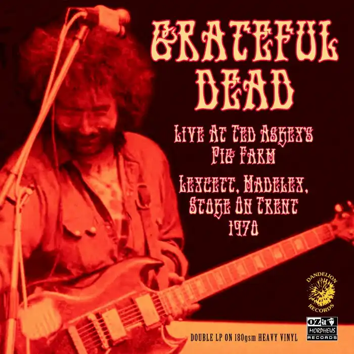 GRATEFUL DEAD / グレイトフル・デッド商品一覧｜ディスクユニオン