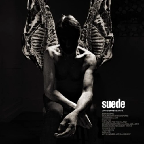 NEW GENERATION (30TH ANNIVERSARY EDITION) (PICTURE DISC)/SUEDE