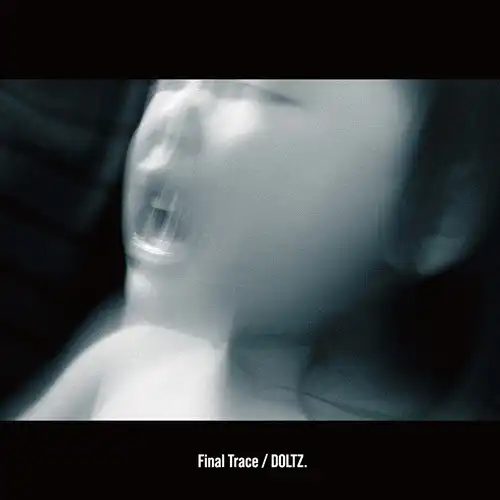 DOLTZ. / FINAL TRACE (2LP)