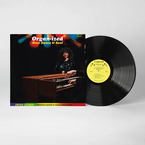 ORGAN-IZED: SLOW DANCE & SOUL/COLD DIAMOND & MINK/TIMMIONのハウス