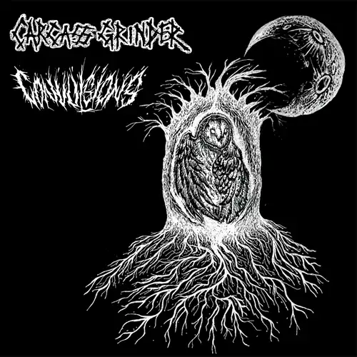 DEATH METAL / GRINDCORE｜HARD ROCK / HEAVY METAL｜ディスクユニオン
