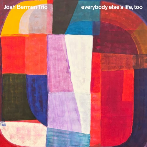 JOSH BERMAN / ジシュ・バーマン / Everybody Else's Life, Too