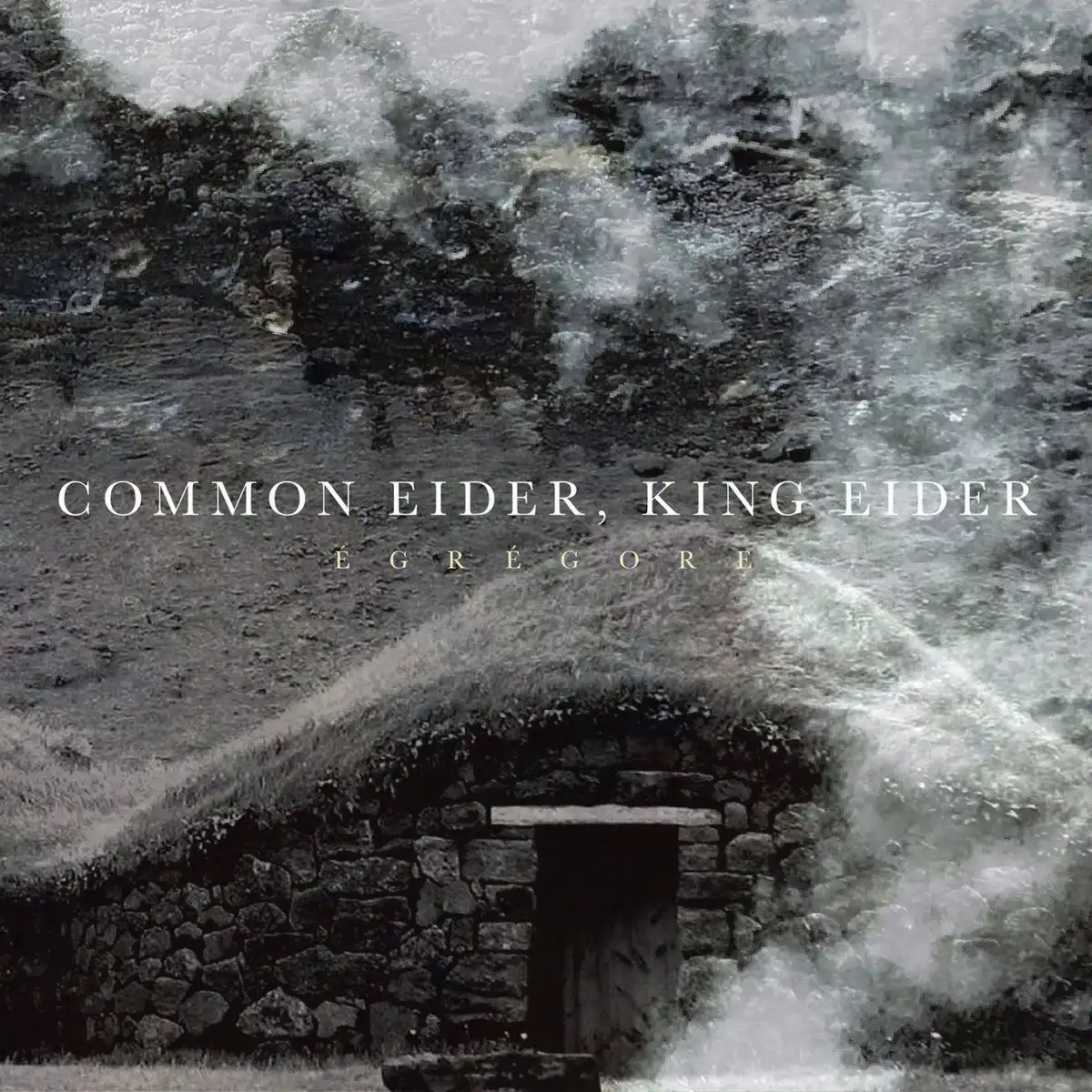 COMMON EIDER, KING EIDER / EGREGORE [CD]