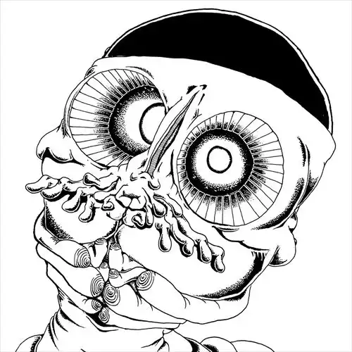 シューゲイザー｜JAPANESE ROCK・POPS / INDIES｜ディスクユニオン