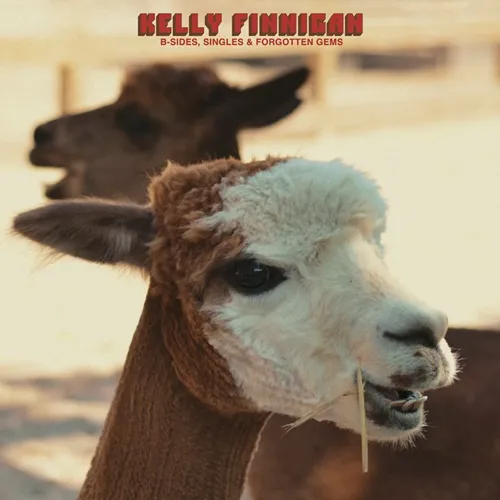 KELLY FINNIGAN / B-SIDES,SINGLES & FORGOTTEN GEMS