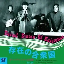 レコードコレクション RETURN TO THE PSYCHEDELIC / SHADOWS OF RAINBOWS (7