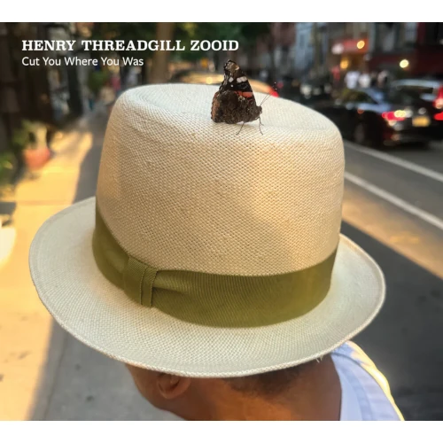 HENRY THREADGILL / ヘンリー・スレッギル / Cut You Where You Was(LP)