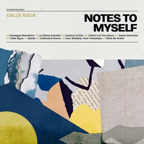 NOTES TO MYSELF / CALLE AGUA (LP)