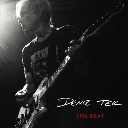 THE BEAT&frasl;DENIZ TEK&frasl;オーストラリア初期PUNKの代表格ソングライター