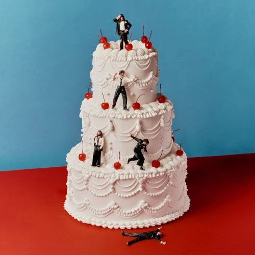 BLOSSOMS (UK ROCK) / ブロッサムズ / SONGS FROM THE WEDDING CAKE (LP)