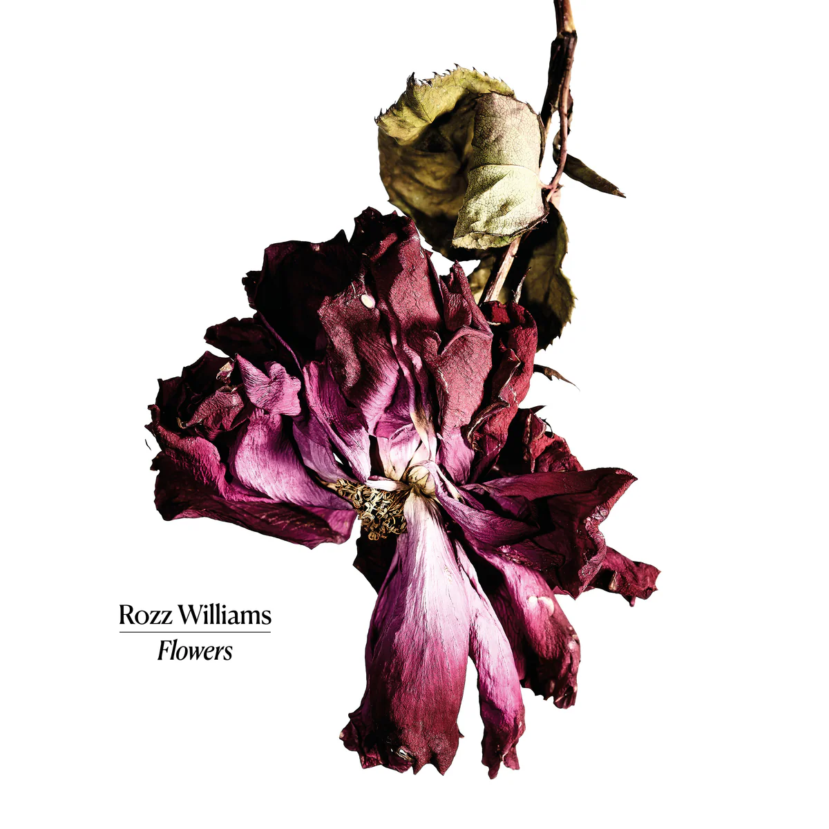 ROZZ WILLIAMS / FLOWERS