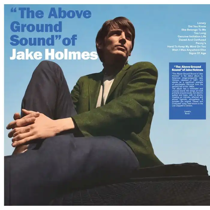 JAKE HOLMES / ジェイク・ホルムス / THE ABOVE GROUND SOUND OF (LP)