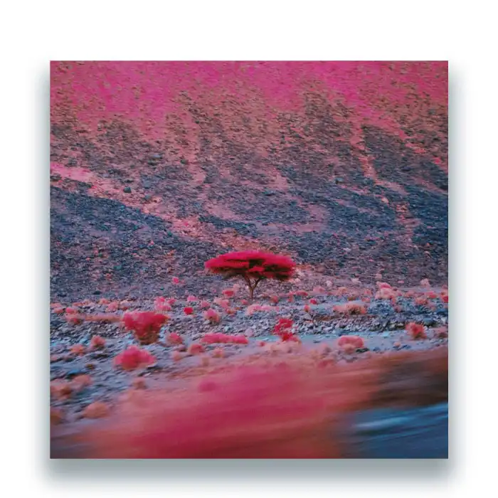 O'FLYNN / KAIROS (2LP)