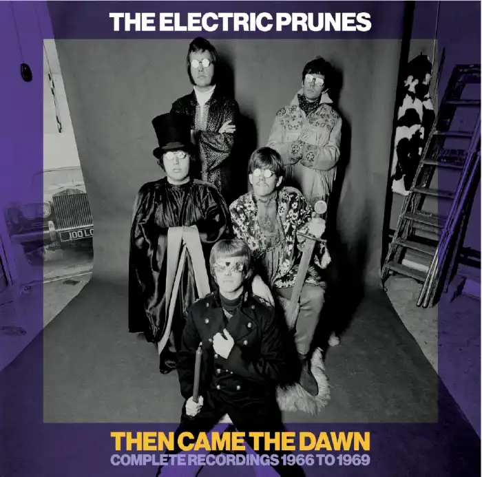 ELECTRIC PRUNES / エレクトリック・プルーンズ / THEN CAME THE DAWN COMPLETE RECORDINGS 1966-1969 (6CD)