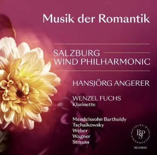 HANSJORG ANGERER / ハンスイェルク・アンゲラー / MUSIK DER ROMANTIK
