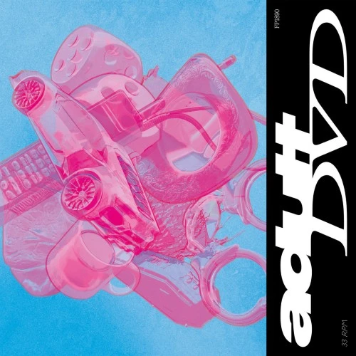 ADULT DVD / ADULT DVD (CD)