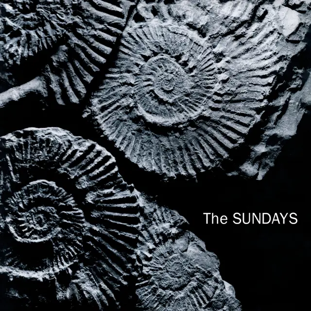 SUNDAYS / サンデイズ / READING, WRITING & ARITHMETIC (CD)