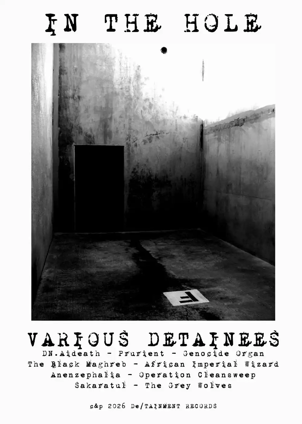 V.A. (NOISE / AVANT-GARDE) / IN THE HOLE [LP]