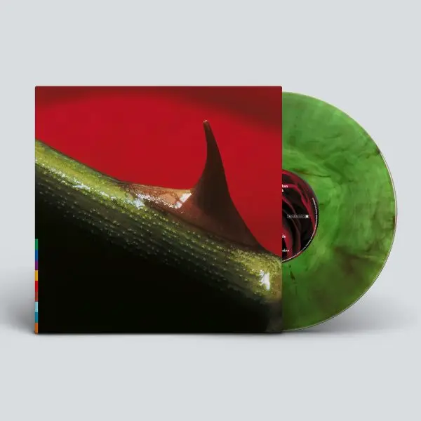 NUSRAT FATEH ALI KHAN & MICHAEL BROOK / ヌスラット・ファテ・アリー・ハーン & マイケル・ブルック / NIGHT SONG - 30TH ANNIVERSARY EDITION (COLOUR VINYL)