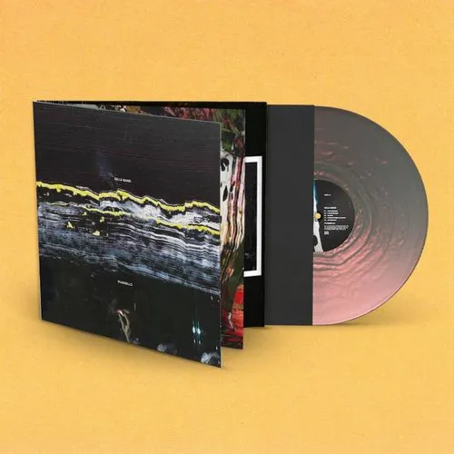 ポップス・インディ・オルタナ｜レコード・CD・DVDの通販｜ディスク