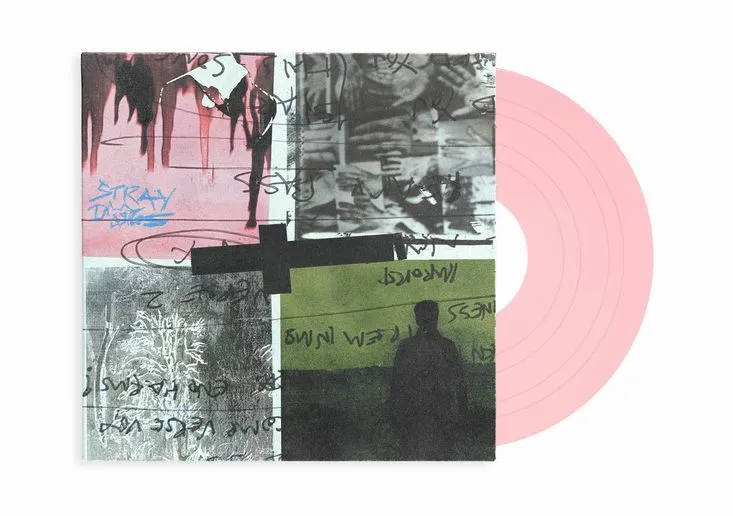 NOTHING BUT THIEVES / ナッシング・バット・シーヴス / STRAY DOGS (PINK ROSE VINYL)