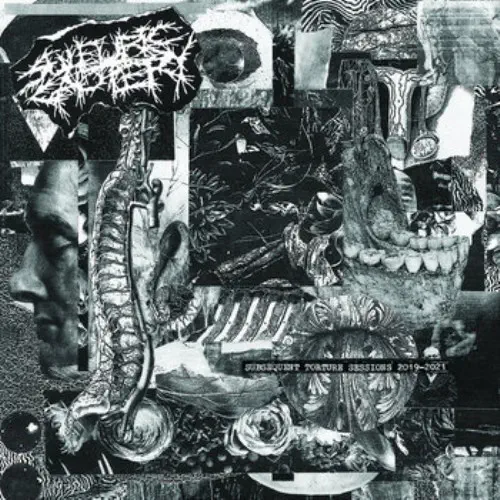 SULFURIC CAUTERY / サルフュリック・カウテリー / SUBSEQUENT TORTURE SESSIONS 2019-2021 (LP)