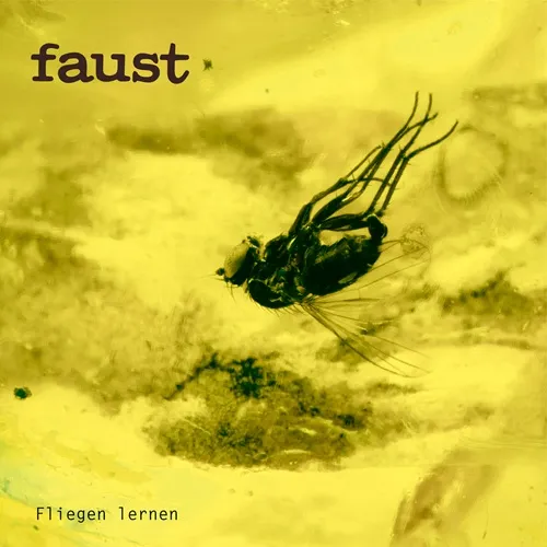 FAUST (PROG) / ファウスト / FLIEGEN LERNEN (CURATED BY GUNTHER WUSTHOFF): 700 COPIES LIMITED CLEAR VINYL