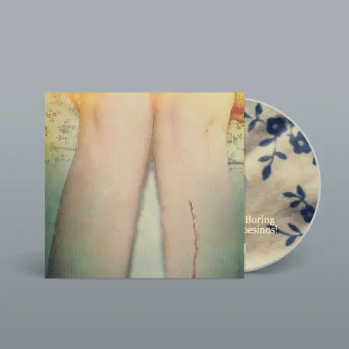 LOS CAMPESINOS! / ロス・キャンペシーノス! / ROMANCE IS BORING (CD)