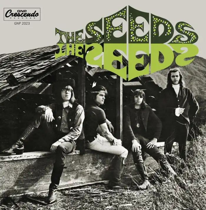 The Seeds - The Seeds LP ガレージパンク　US盤 THE SEEDS (MONO LP)/SEEDS/シーズ/ガレージ/サイケ不朽の名盤、シーズ