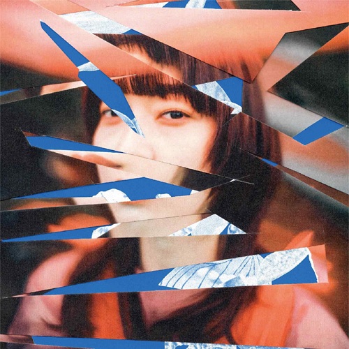 アナログ盤｜JAPANESE ROCK・POPS / INDIES｜ディスクユニオン