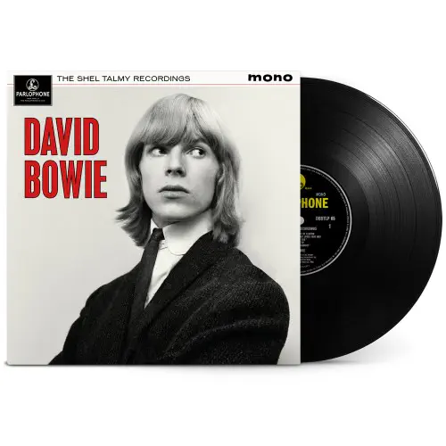 DAVID BOWIE / デヴィッド・ボウイ / THE SHEL TALMY RECORDINGS (LP)