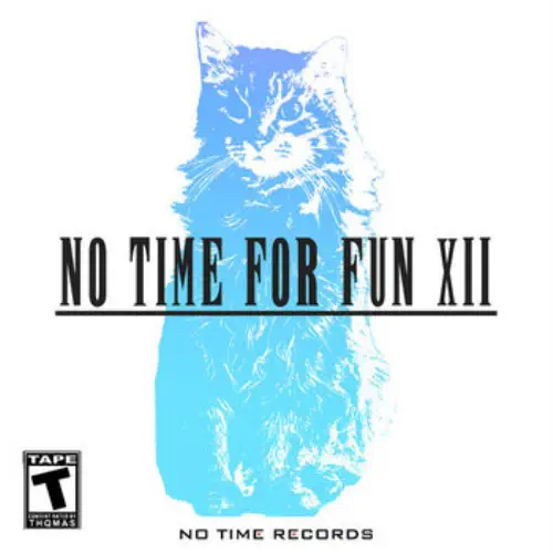 NO TIME FOR FUN VOL. 12/NO TIME RECORDS/No Time Recordsの