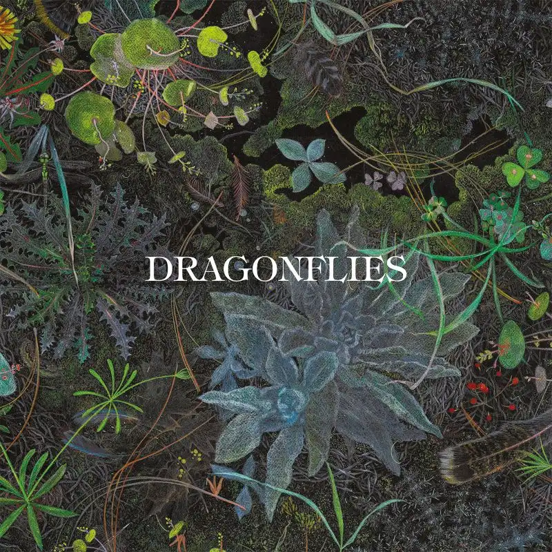 DRAGONFLIES (DHANI HARRISON/NIGEL GODRICH) / ドラゴンフライズ / DRAGONFLIES (CD)
