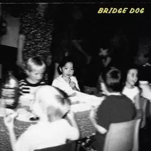 ブリッジ・ドッグ / AUTO FICTIONS / オートフィクションズ(COLOR VINYL)