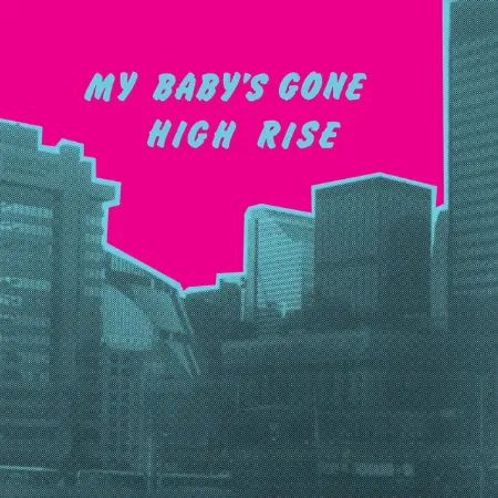 HIGH RISE (SOUL) / MY BABY'S GONE (LP)