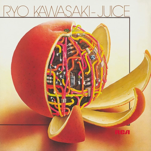 Juice(LP)/RYO KAWASAKI/川崎燎/極太のグルーヴが渦巻く代表作のひとつ