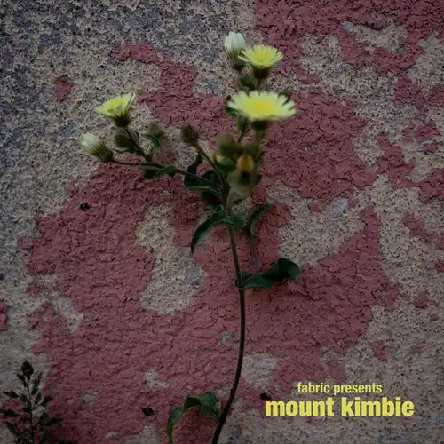 MOUNT KIMBIE / マウント・キンビー / FABRIC PRESENTS MOUNT KIMBIE CD