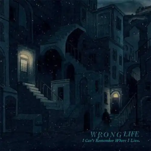WRONG LIFE / I Can't Remember Where I Live (国内盤CD)