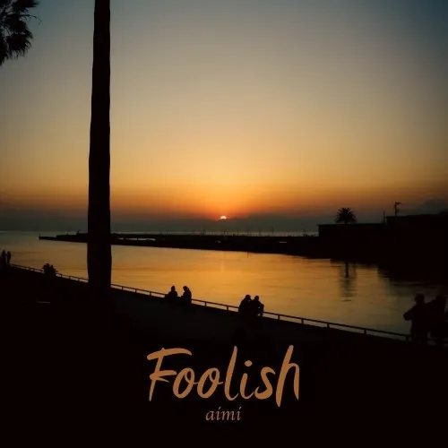 aimi / TOSHIKI HAYASHI(%C), Lil Summer / Foolish / Rock the Boat (7")
