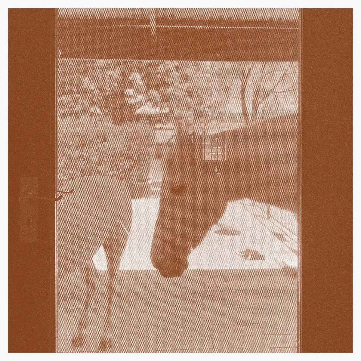 J.WLSN & LIAM KEENAN / COUNTRY/THE COUNTRY [CD]
