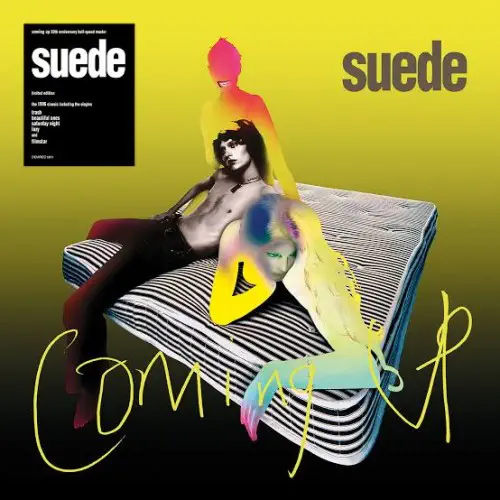 SUEDE / スウェード商品一覧｜ディスクユニオン・オンラインショップ