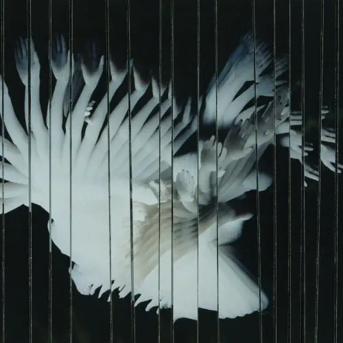 SCALER / ENDLESSLY (CD)