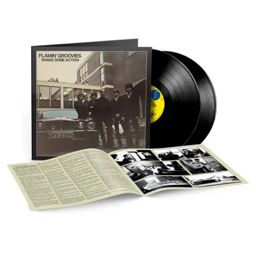 FLAMIN' GROOVIES / フレイミン・グルーヴィーズ / SHAKE SOME ACTION (50TH ANNIVERSARY EDITION) (2LP BLACK VINYL)