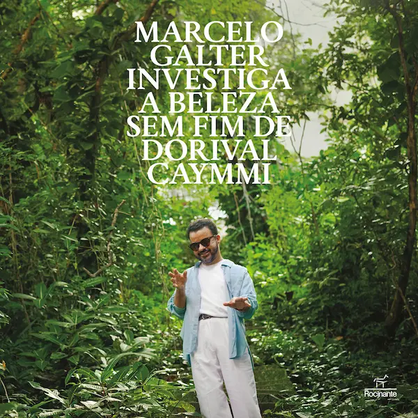 MARCELO GALTER / マルセロ・ガルテル / INVESTIGA A BELEZA SEM FIM DE DORIVAL CAYMMI (LP)