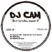 DJ CAM / DJカム / BEST OF CAM SMOOTH