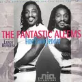 ALEEM FEATURING LEROY BURGESS / アリーム・フィーチャリング・ルロイ・バージェス / FINE YOUNG TENDER (LP)